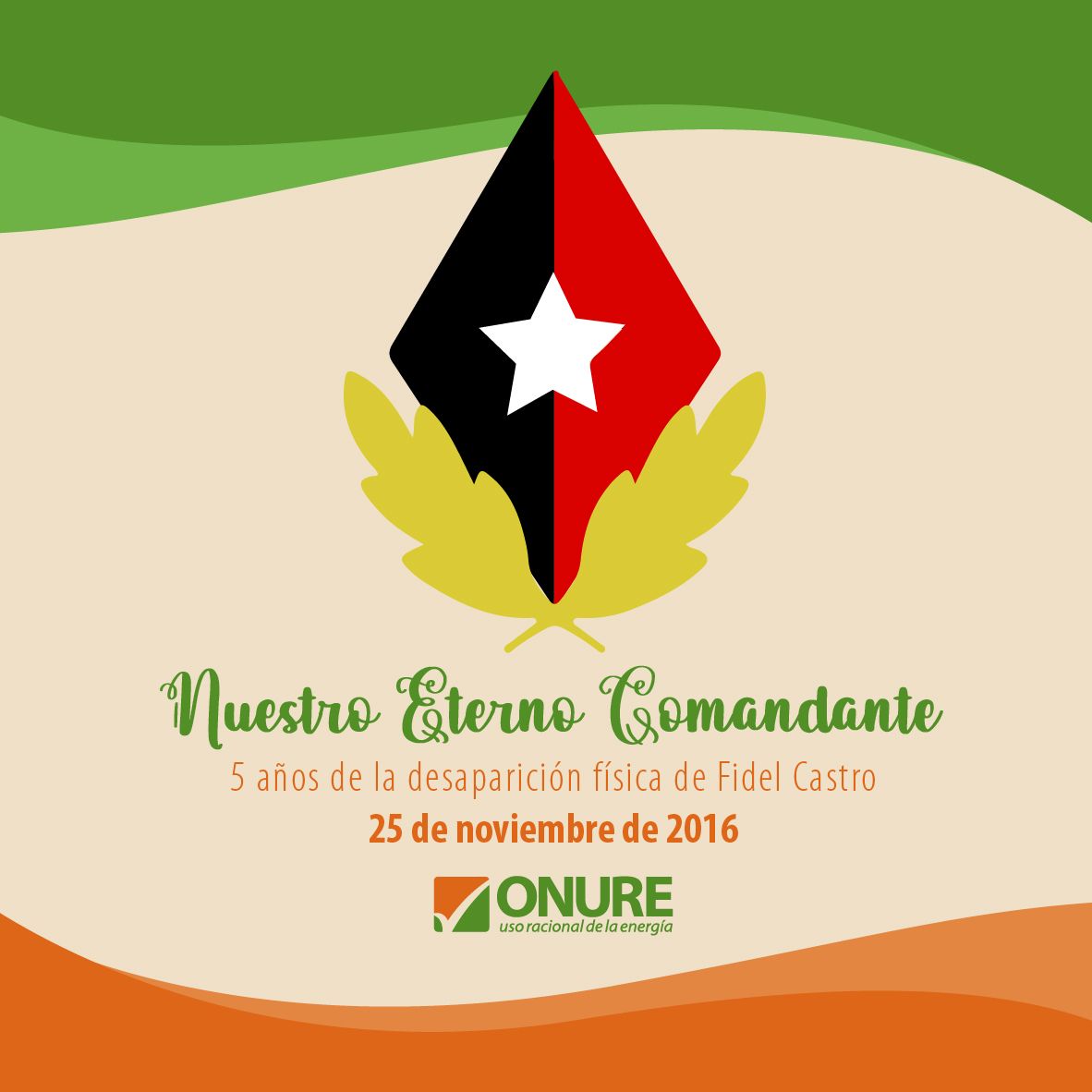 Fidel 25 nov
