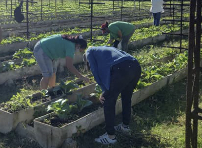 Trabajo Voluntario 1